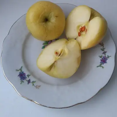 Мочёные яблоки